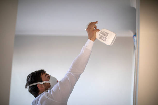 Trusted Venus, TX Mold Removal Experts