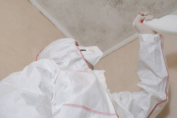 Best Residential Mold Removal  in Venus, TX