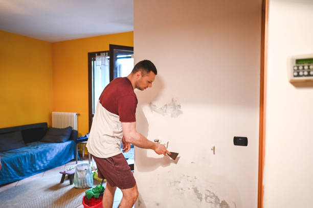 Best Office Mold Removal Services  in Venus, TX